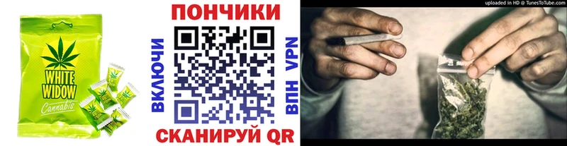 ОМГ ОМГ ссылка  Новоалександровск  Canna-Cookies конопля 