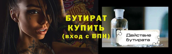 индика Нягань